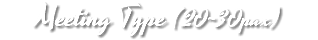 Meeting Type (20~30pax)